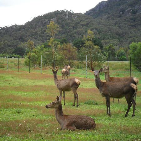 Villa Grampians Chalets Halls Gap Exterior foto