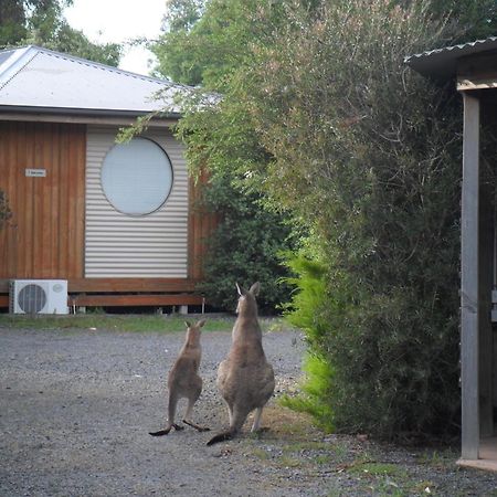 Villa Grampians Chalets Halls Gap Exterior foto